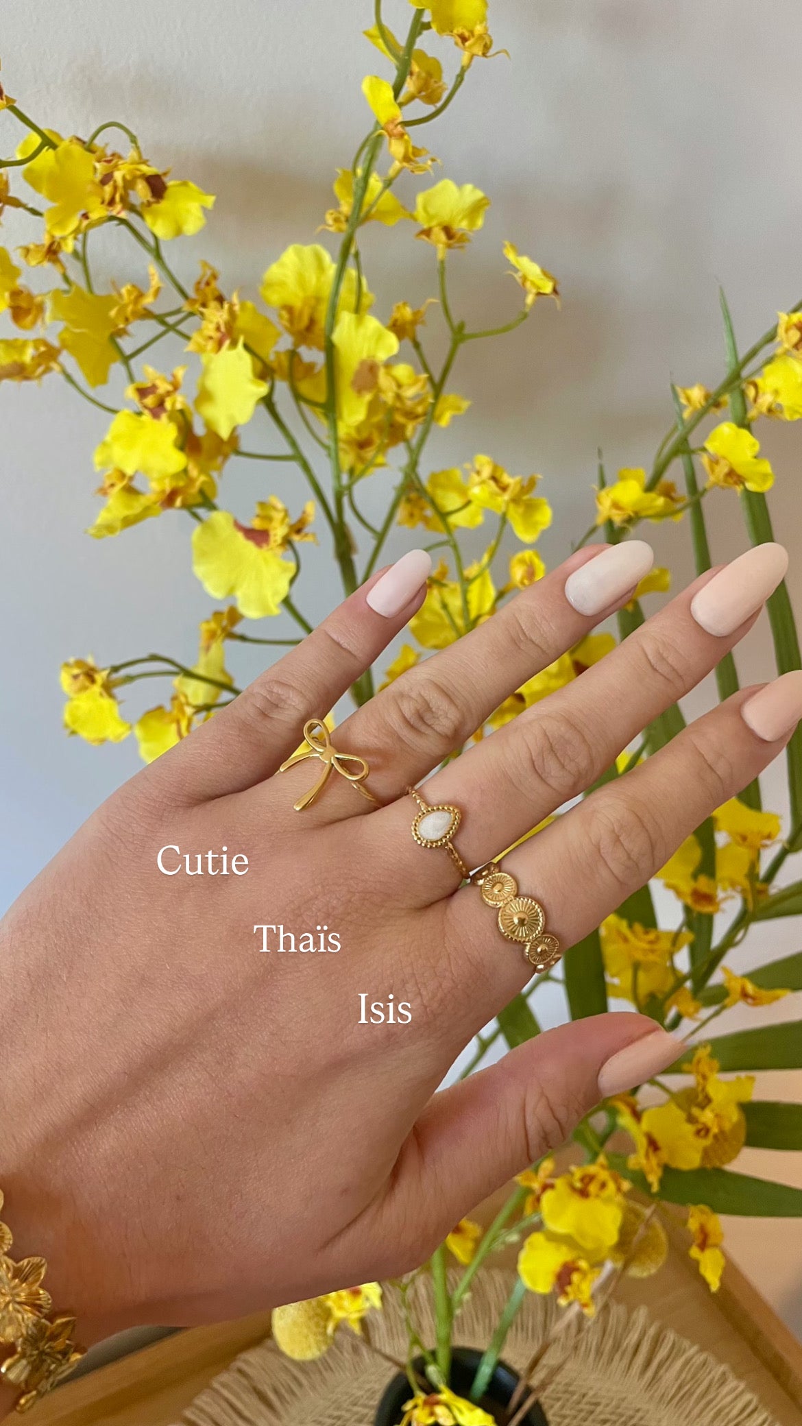 Bagues : Cutie - Thaïs - Isis